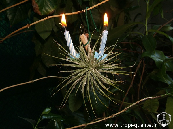 Joyeux anniversaire !