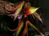 Tillandsia leiboldiana fleur